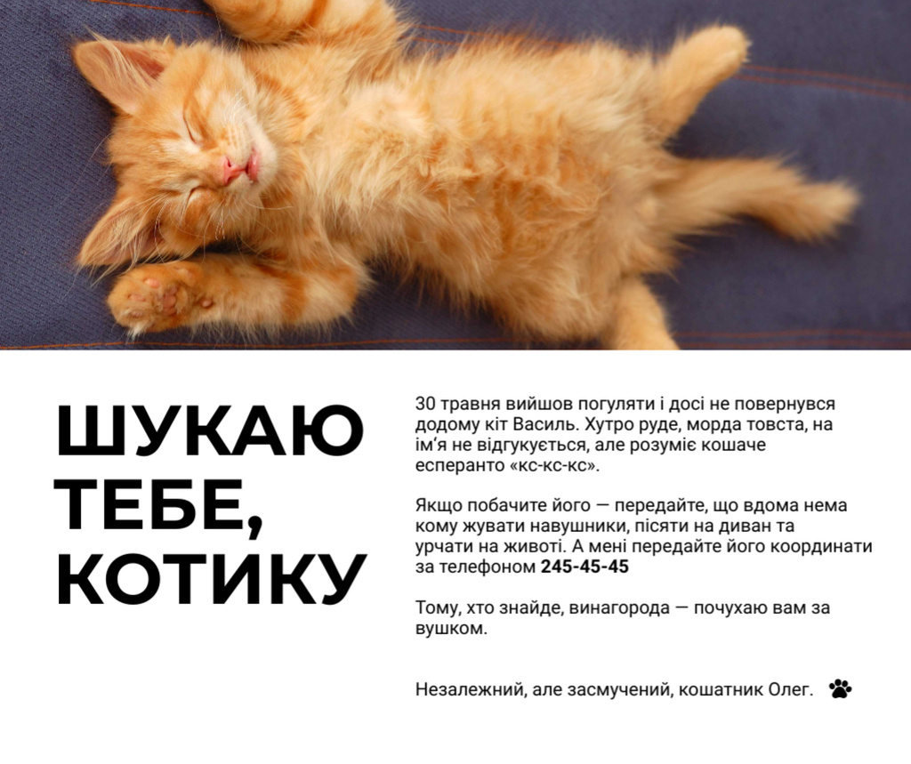 Cute Red Fluffy Kitten Sleeping Facebook Design Template