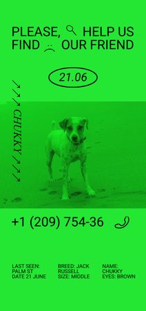 Announcement about Missing Dog Flyer DIN Large Design Template