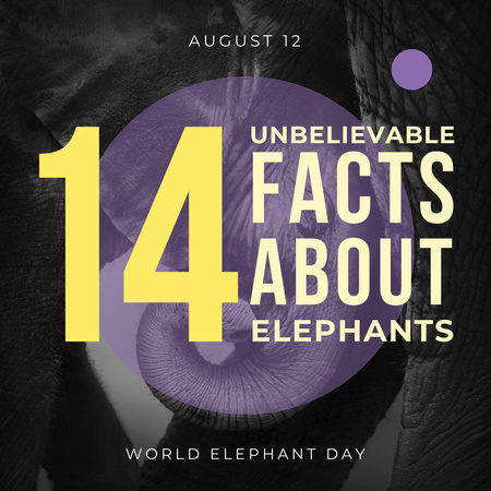World elephants day Announcement Instagram Design Template