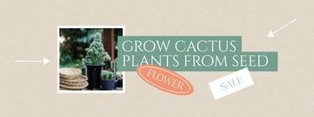 Cactus Plant Seeds Offer Coupon Tasarım Şablonu