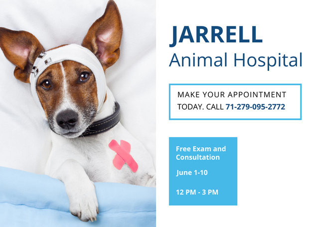Plantilla de diseño de Dog in Animal Hospital Postcard 