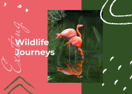 Pink Flamingos In Water For Exciting Wildlife Journeys Promotion Postcard 5x7in Design Template