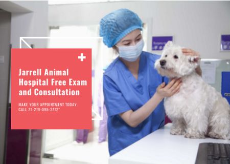 Dog in Animal Hospital Postcard Modelo de Design