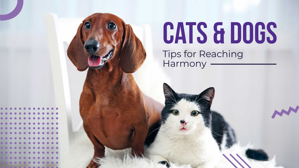 Caring About Pets Dachshund and Cat Youtube Thumbnail Design Template