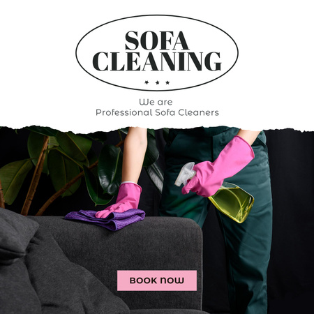 Professional Sofa Cleaning Service Offer Instagram AD Modelo de Design