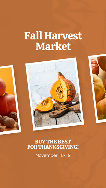 Autumnal Harvest Market On Thanksgiving Day Instagram Video Story Šablona návrhu