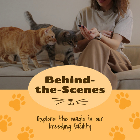 Adorable Cats At Breeding Center Promotion Animated Post Design Template
