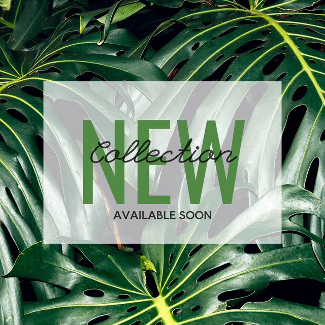 Plantilla de diseño de New Collection Announcement with Green Leaves Instagram 