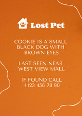 Announcement about Missing Black Dog