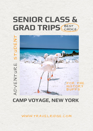 Students Trips Offer with Cute Flamingo Poster – шаблон для дизайна