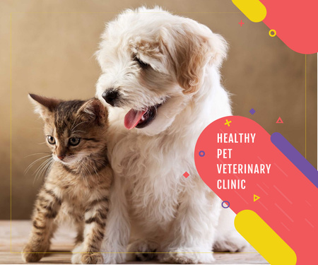 Offer of Veterinary Clinic Services for Pets Large Rectangle Design Template