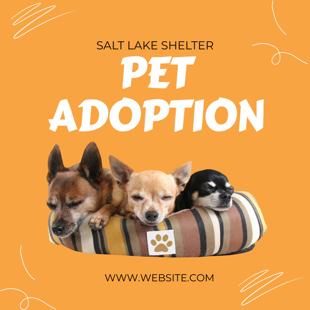 Offer to Adopt Pet from Shelter Animated Post Tasarım Şablonu