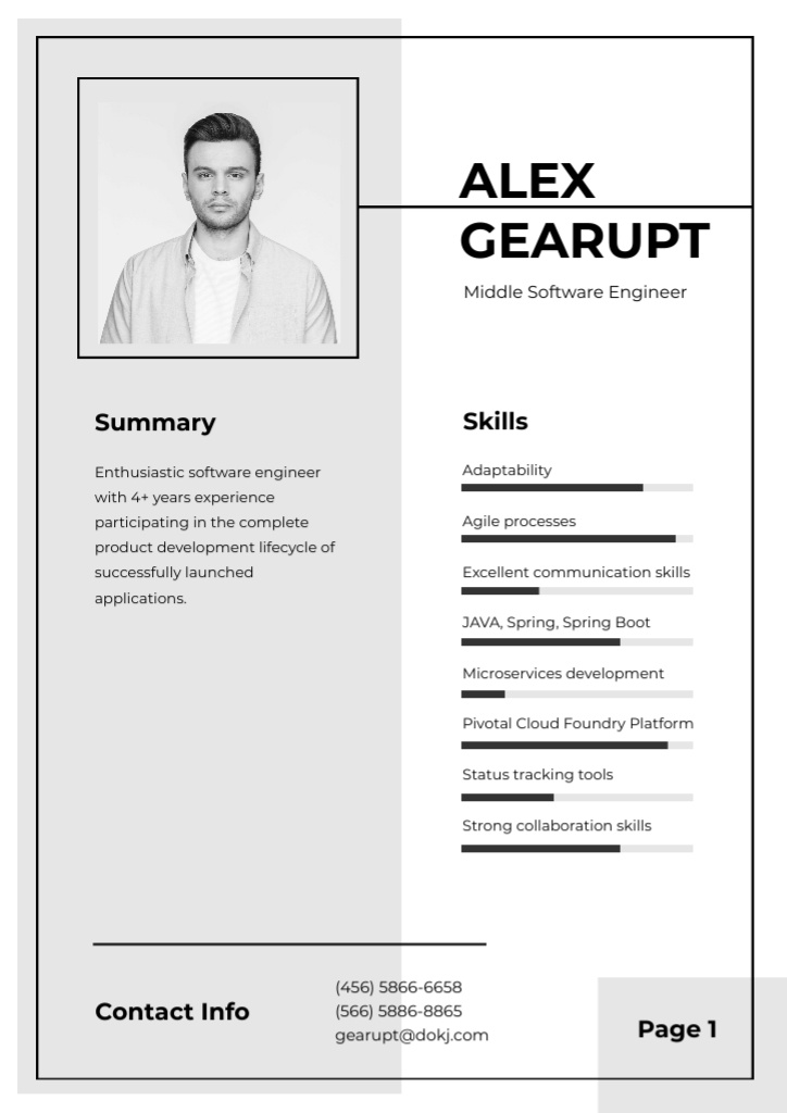 Professional Software Engineer profile Resume Šablona návrhu