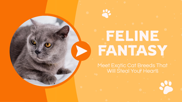 Vlog about Exotic Cat Breeds Youtube Thumbnail – шаблон для дизайну