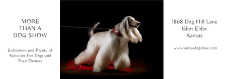 Dog Show announcement with pedigree pet Tumblr Modelo de Design