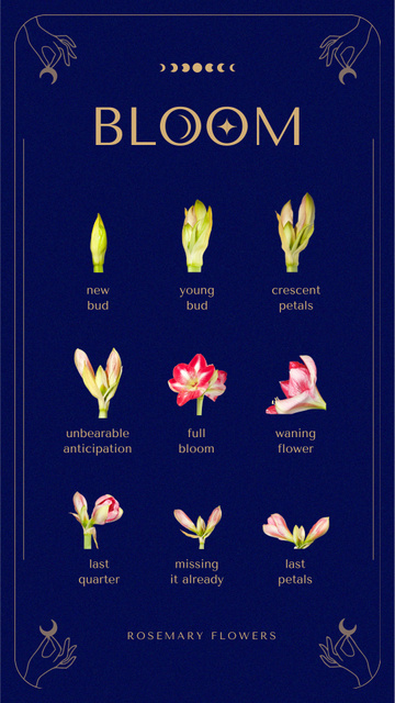 Plants Store Offer with Various Flowers Instagram Story tervezősablon