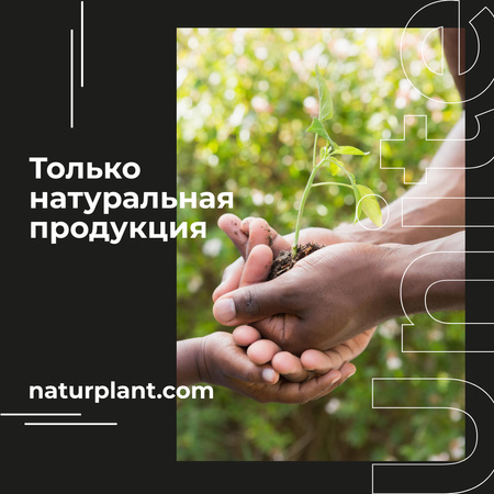 Руки держат растущее растение Instagram AD – шаблон для дизайна