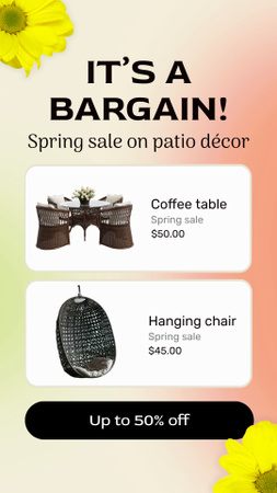 Hanging Chair And Coffee Table Sale Offer Instagram Video Story Design Template