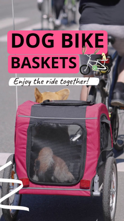 Designvorlage Angebot an komfortablen Fahrradkörben für Hunde für TikTok Video