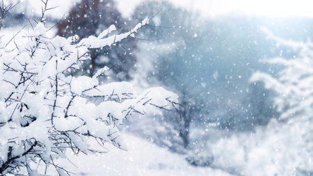 Plantilla de diseño de Pintoresco paisaje invernal con nieve que cae Zoom Background 