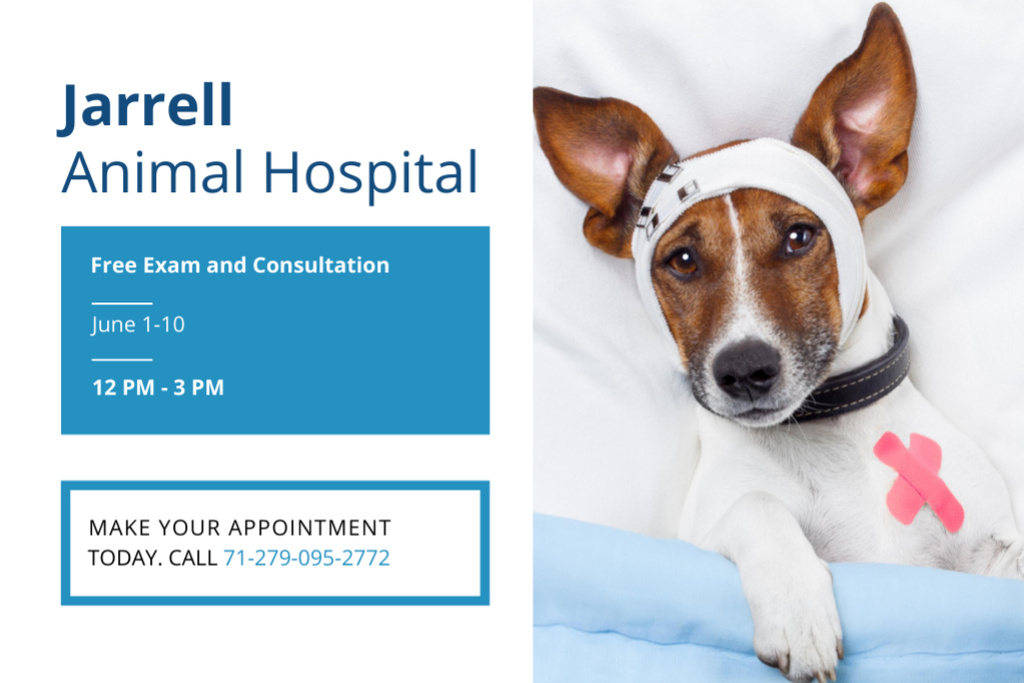 Professional Animal Hospital Ad With Sick Dog Lying on Bed Flyer 4x6in Horizontal Design Template