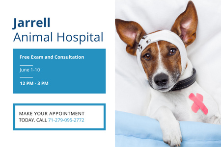 Animal Hospital Ad with Cute injured Dog Flyer 4x6in Horizontal Design Template