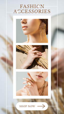 Nabídka prodeje módních doplňků se stylovými šperky Instagram Story Šablona návrhu