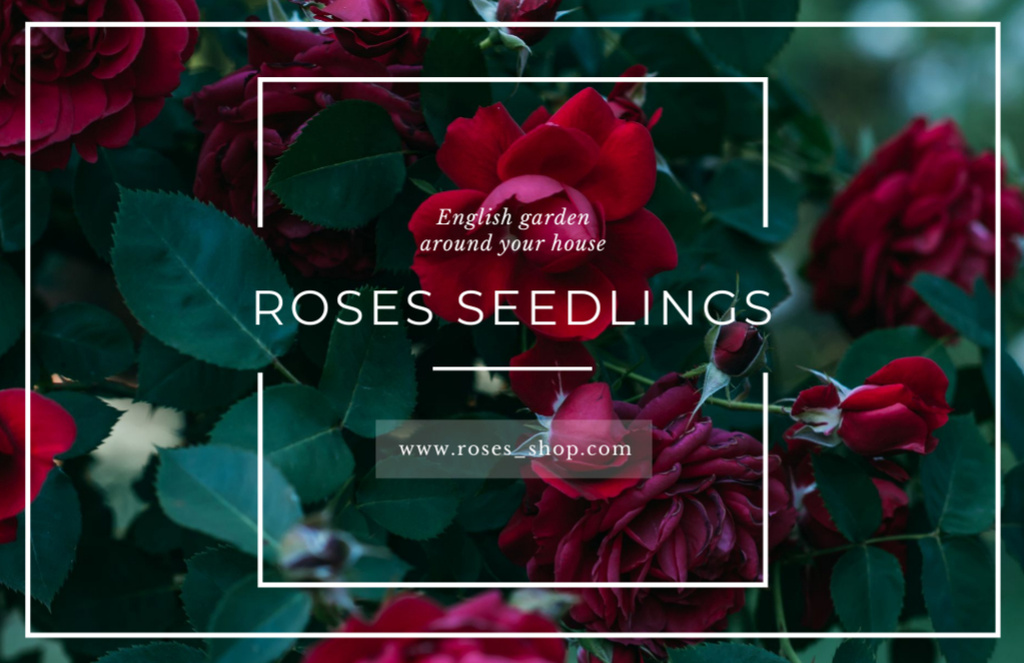 Flower Seedling Sale Promotion with Red Rose Bush Thank You Card 5.5x8.5in Tasarım Şablonu