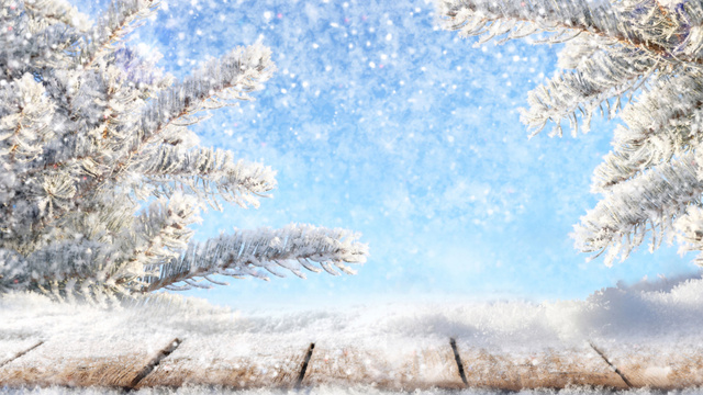 Designvorlage Snow-Covered Fir Branches with Blue Sky für Zoom Background