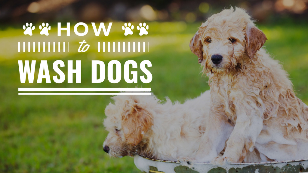 Washing Dogs Tips Two Cute Puppies in Foam Youtube Thumbnail Design Template
