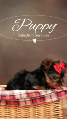 Expert-level Pet Assistance And Selection Services