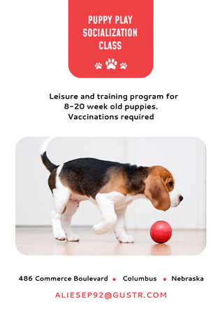 Puppy Interaction Group And Leisure Program Class Poster Design Template