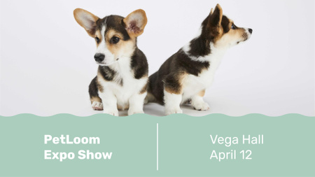 Dog show with cute Corgi Puppies FB event cover Design Template