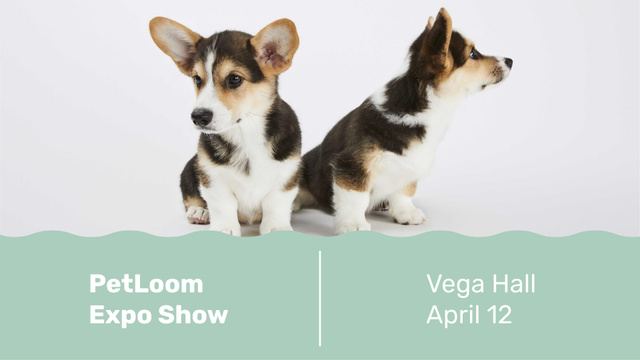 Dog show with cute Corgi Puppies FB event cover – шаблон для дизайна