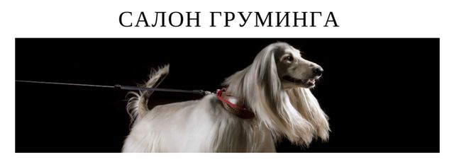 Grooming salon ad with pedigree Dog Facebook cover – шаблон для дизайна