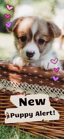 Plantilla de diseño de Alerta de lindo cachorro en canasta Snapchat Moment Filter 