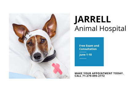 Dog in Animal Hospital Poster 24x36in Horizontal Design Template