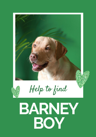 Lost Dog Information with Cute Labrador on Green Flyer A7 tervezősablon