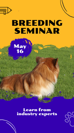 Top-notch Pet Breeding Seminar With Experts Instagram Video Story Design Template