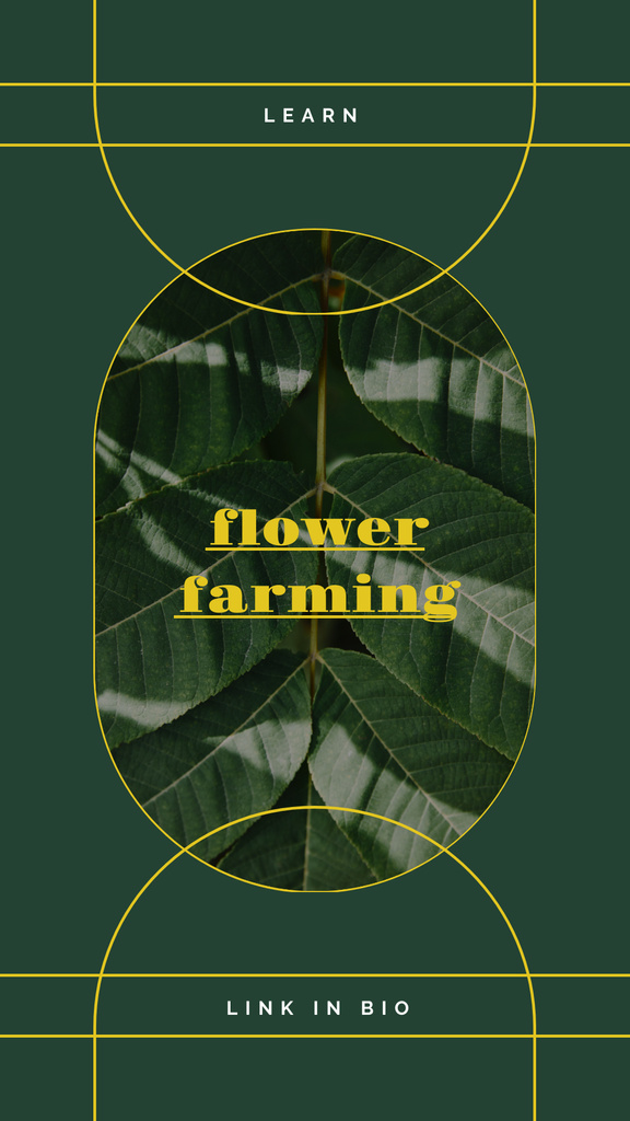 Designvorlage Flowers and Plants in Greenhouse für Instagram Story