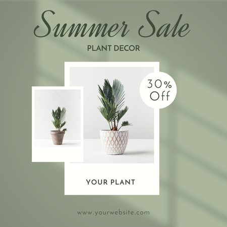 Продажа декоративных растений Instagram – шаблон для дизайна