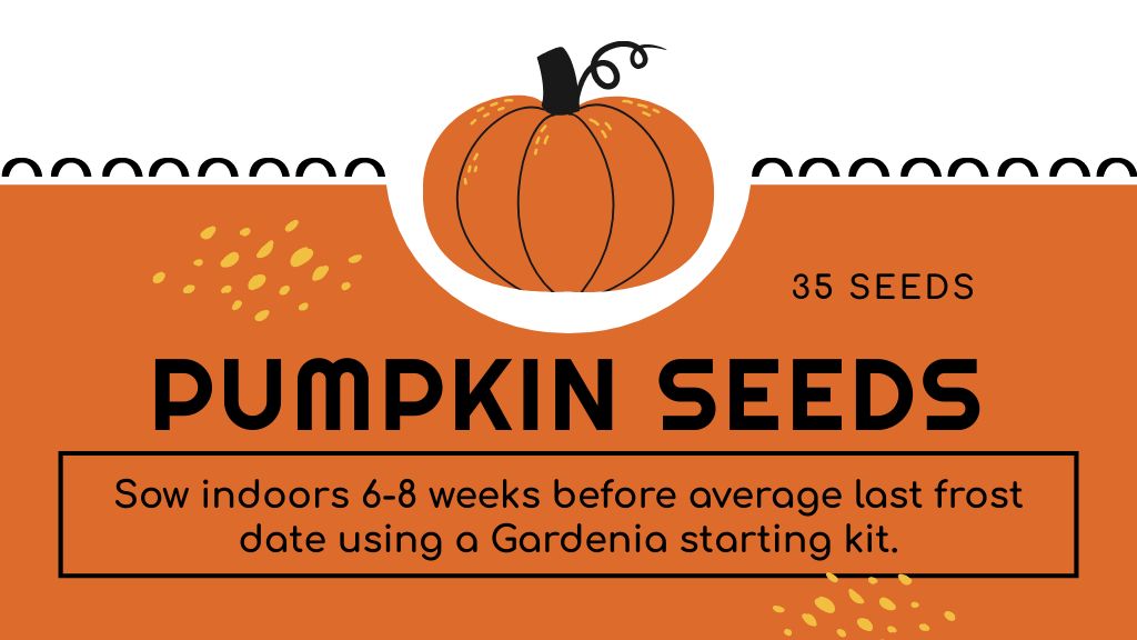 Pumpkin Seeds Sale Offer Label 3.5x2in Design Template