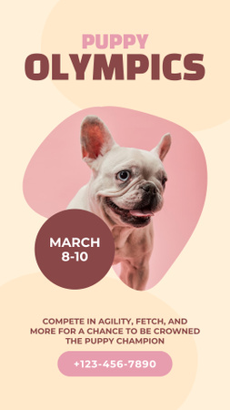 Dog Show and Contest Instagram Story Design Template