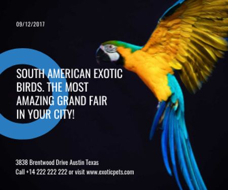 Template di design South American exotic birds fair Large Rectangle