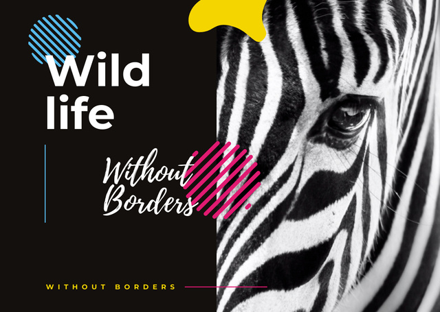 Wild zebra animal Postcard Modelo de Design