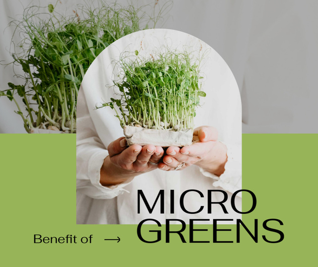 Woman holding Micro Greens Facebook – шаблон для дизайна