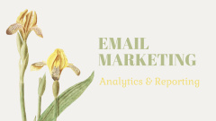 Email Marketing Results Analysis
