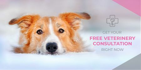 Free veterinary consultation with cute dog Twitter Design Template