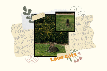 European Shorthair Cat On Grass Lying Mood Board Design Template