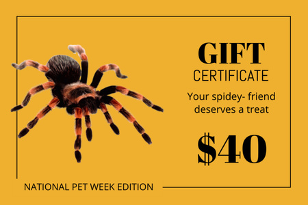 Ontwerpsjabloon van Gift Certificate van nationale dierenweek aanbieding met spin